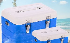 Medical Cold Chain Case Study: Insulated Cooler Hardware Solutions