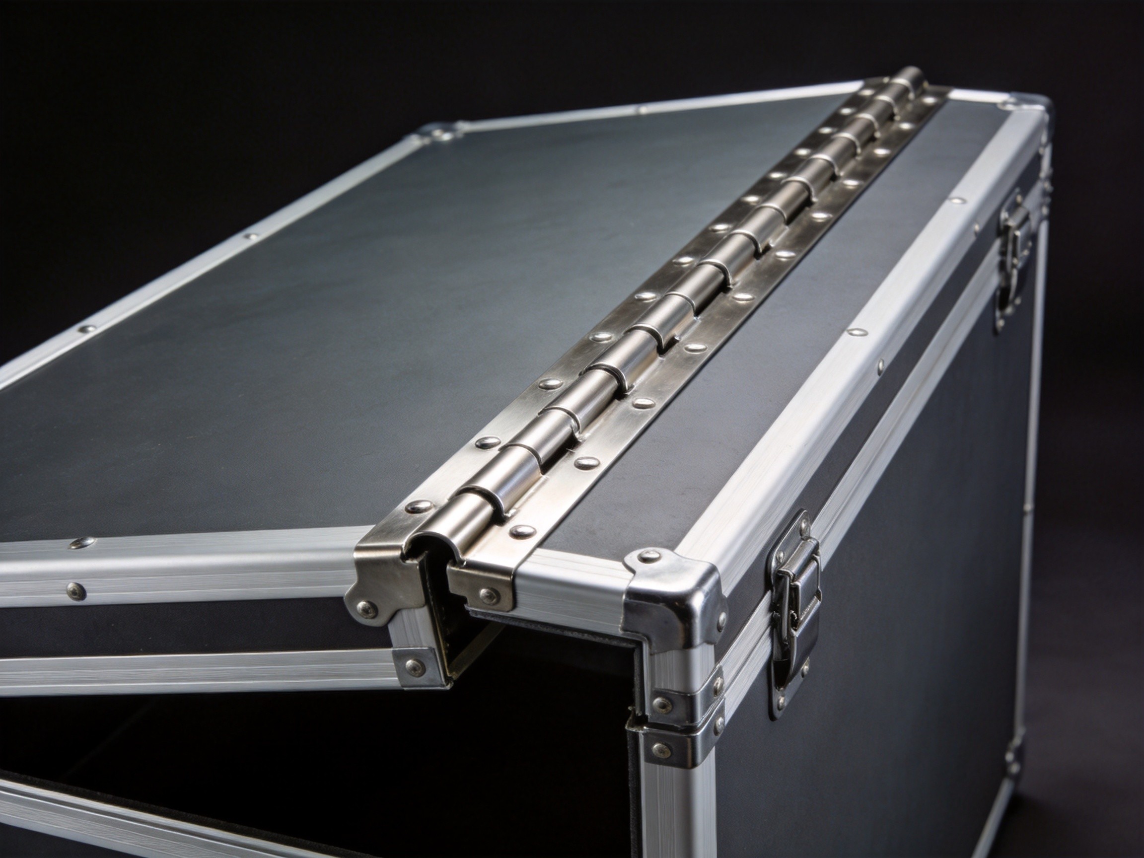 Stainless steel piano hinge running full length of transit case lid showing continuous design