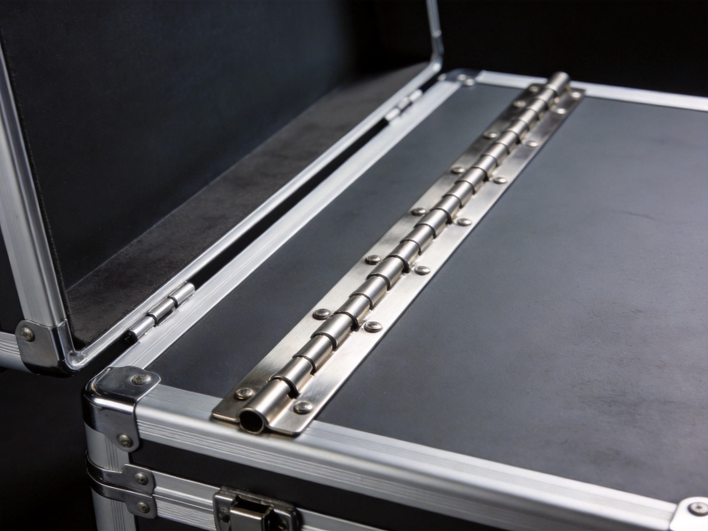Close-up of continuous piano hinge pin and knuckle design on industrial case